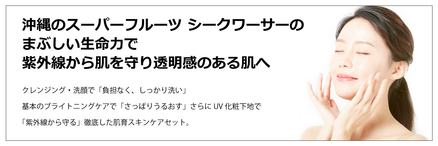 琉白シークワーサーブライトニング6点セット初回定期