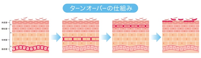 ストレスで肌トラブルが起きる理由とは？