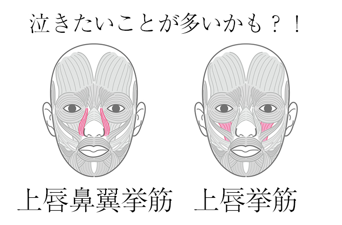 鼻の横・ほうれい線部分につまり・違和感を感じる02