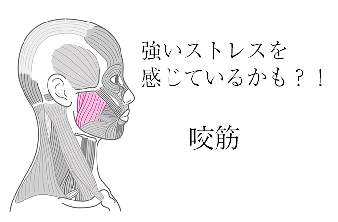 顎やエラの部分が張っていて違和感や痛みを感じる・側頭部が重い02